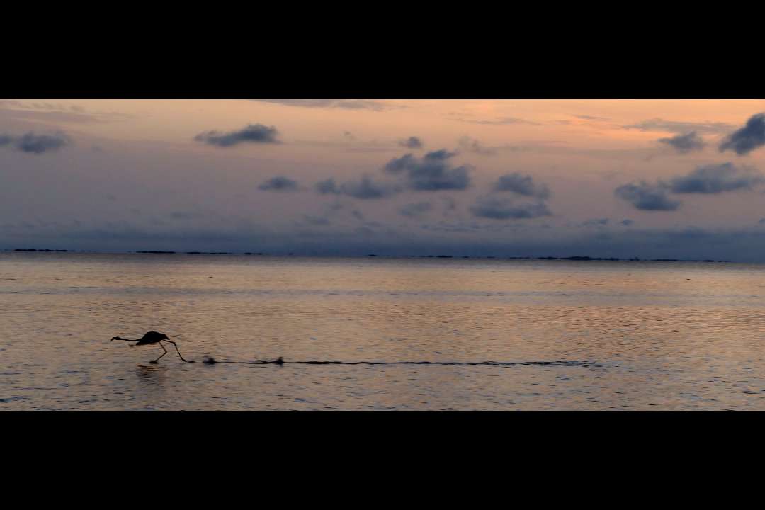 Paysage Paysage